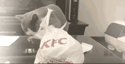 【微友互动】听说这里的垃圾桶有点