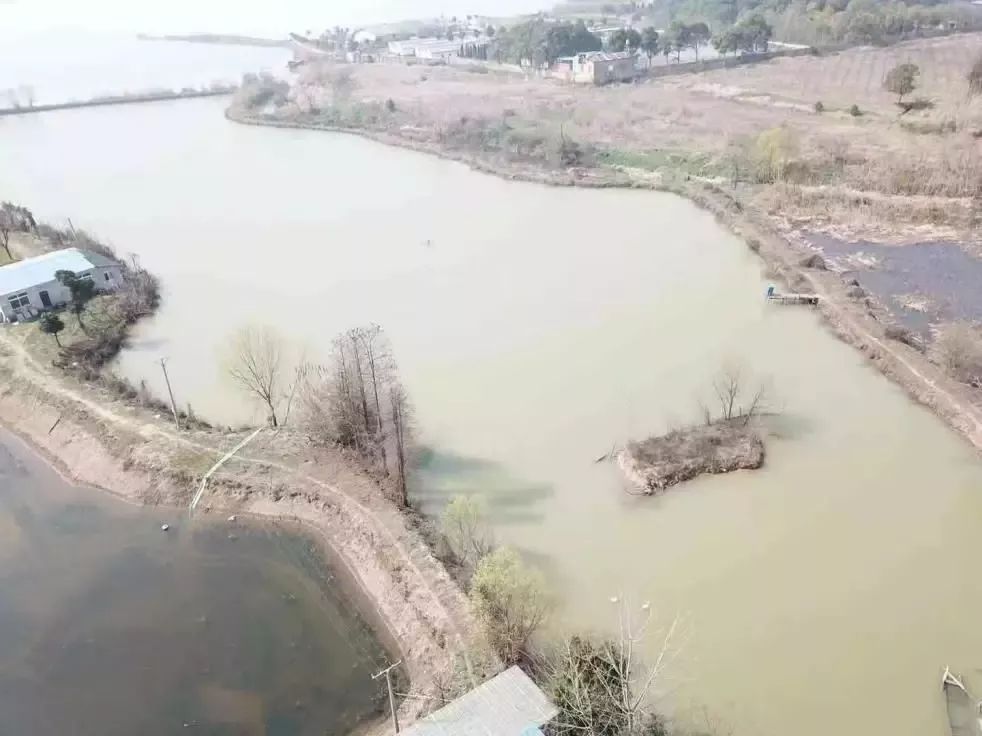 武汉经济技术开发区gdp2019_武汉经济技术开发区(2)