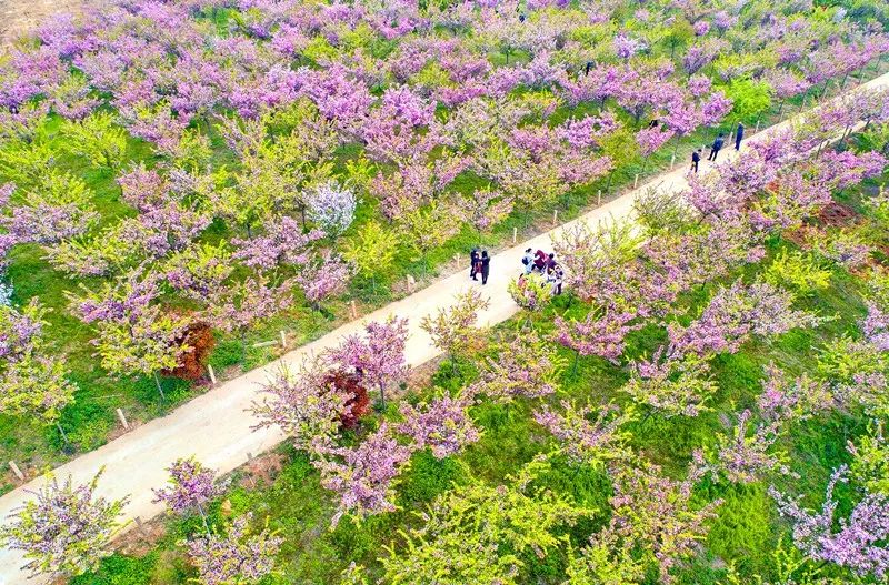 安陆gdp_安陆市国民经济和社会发展第十三个五年规划纲要 2016 2020(3)