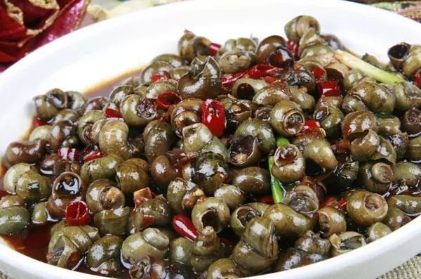 什么时候捡螺蛳最合适 c9acc1a1752f01551de5a6dc061889a6.jpeg