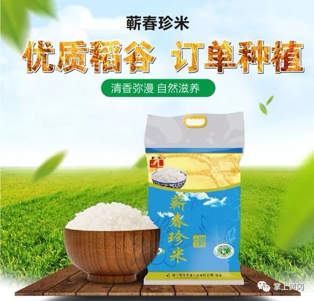 蕲春珍米