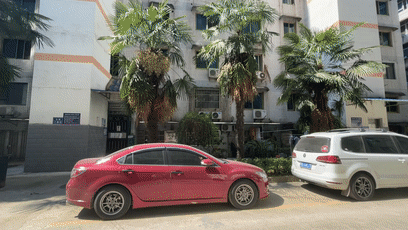 来源 | 长江日报-长江网编辑 | 魏炜文章经授权发布 转载请注明出处