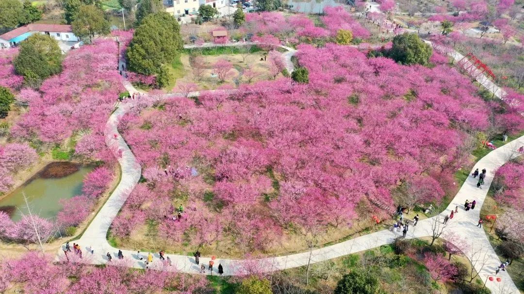 怎么销售超生刀荆早报来了！重磅！8日上午／今起，临时调整／美的产销两旺，一季度产冰箱167万台，销售20亿！〔4.7〕_https://www.jmylbn.com_新闻资讯_第5张